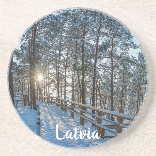 Träskog väg över snöskog underlägg (Framsidan)