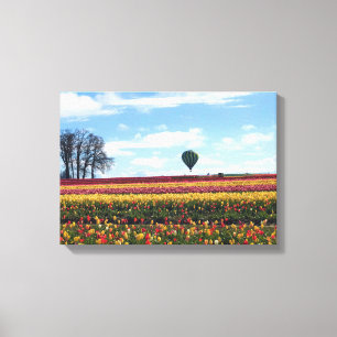 Träskon Tulip Farm, Woodburn, Oregon Canvastryck