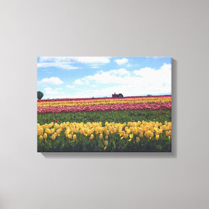 Träskon Tulip Farm, Woodburn, Oregon Canvastryck
