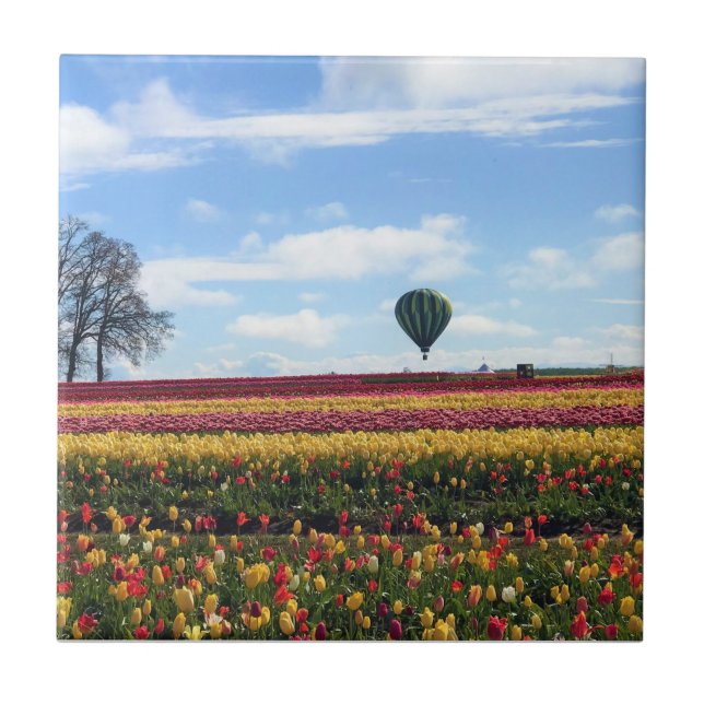 Träskon Tulip Farm, Woodburn, Oregon Kakelplatta (Framsidan)