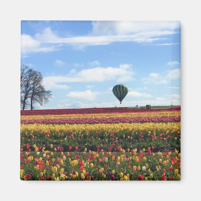 Träskon Tulip Farm, Woodburn, Oregon Magnet (Framsidan)