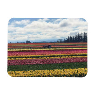 Träskon Tulip Farm, Woodburn, Oregon Magnet