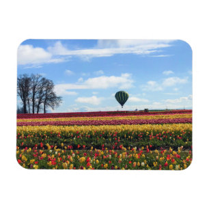 Träskon Tulip Farm, Woodburn, Oregon Magnet