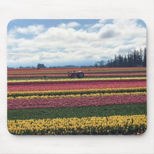 Träskon Tulip Farm, Woodburn, Oregon Musmatta (Framsidan)