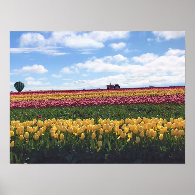 Träskon Tulip Farm, Woodburn, Oregon Poster (Framsidan)