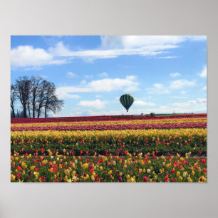 Träskon Tulip Farm, Woodburn, Oregon Poster