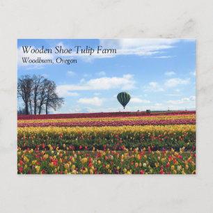 Träskon Tulip Farm, Woodburn, Oregon Vykort