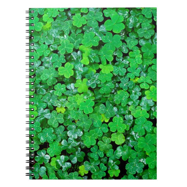 Träskörtsblomning på våren anteckningsbok (Framsidan)