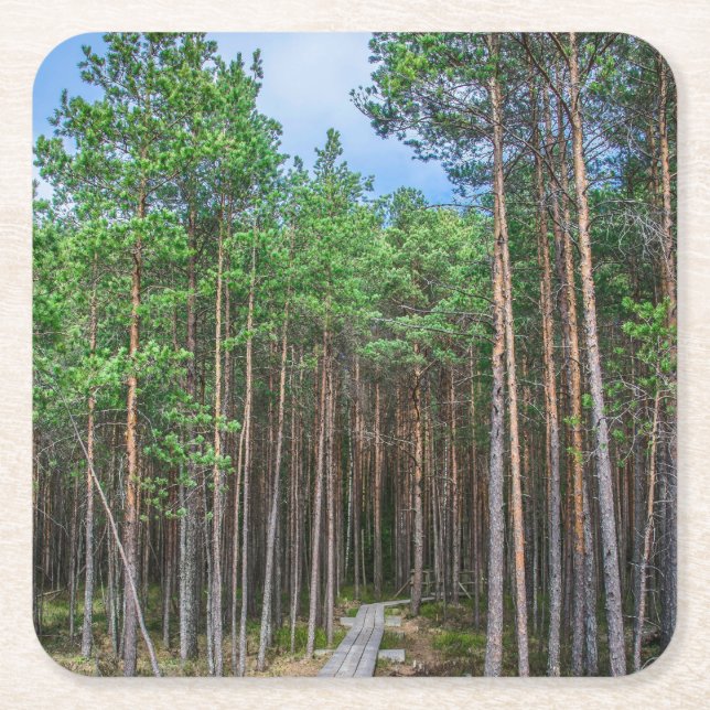 Träspår i gräs underlägg papper kvadrat (Framsidan)