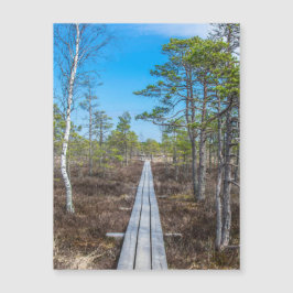 Träspåret över träsket