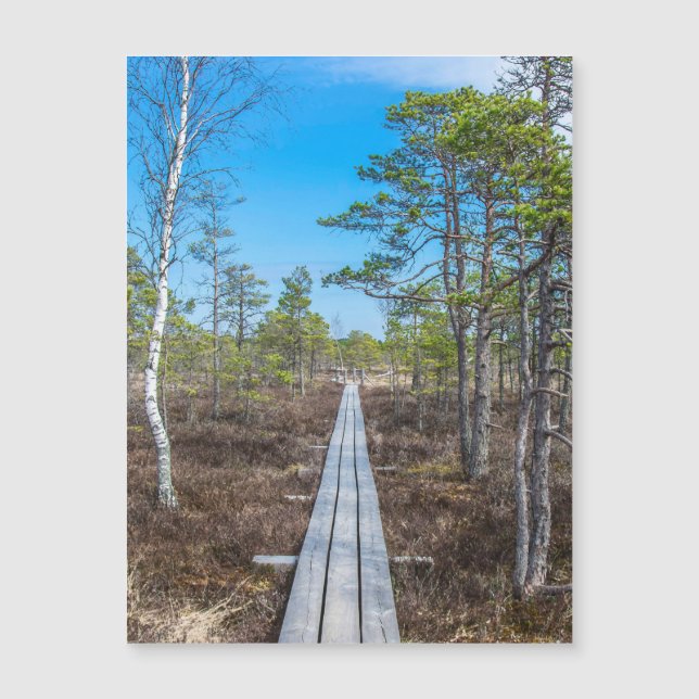 Träspåret över träsket (Framsida)