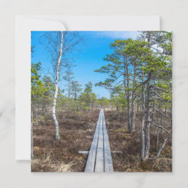 Träspåret över träsket