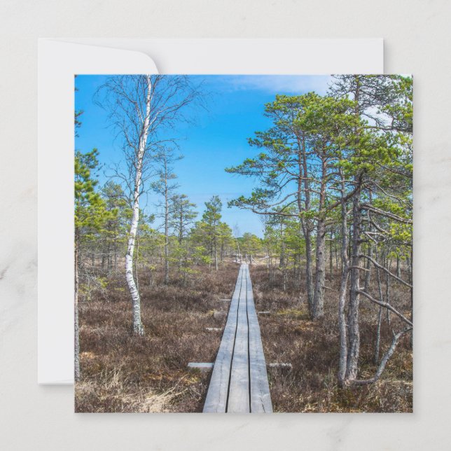 Träspåret över träsket (Framsida)