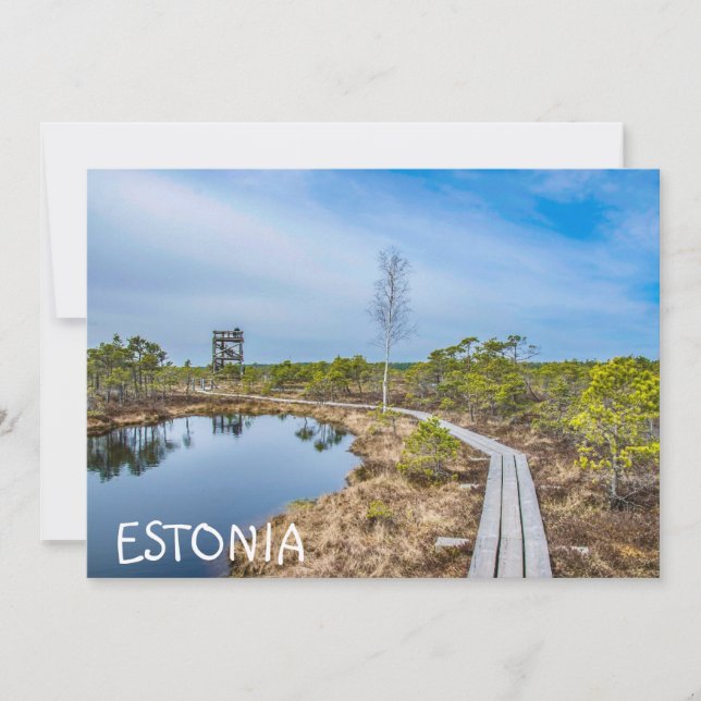 Träspåret över träsket i Estland (Framsida)