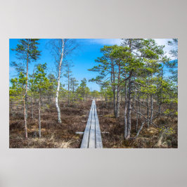 Träspåret över träsket poster