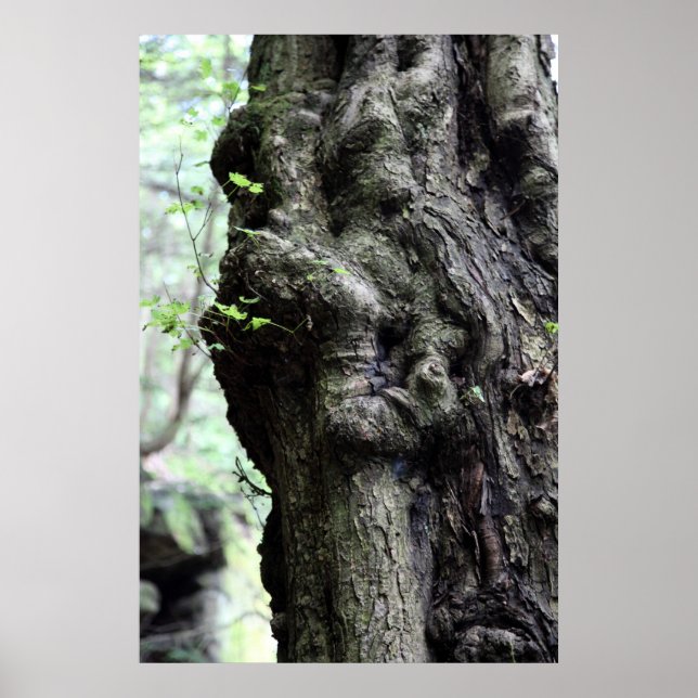 träsprite poster (Framsidan)