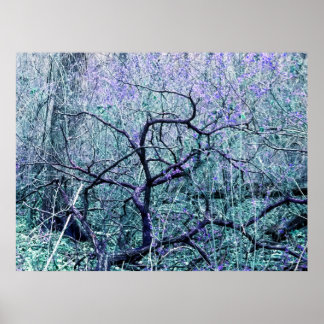 Trassel i Blå Poster
