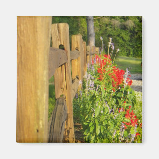 Trästängsel Magnet