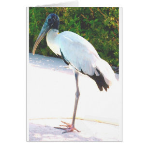 Trästork i kvällsbära hälsningskort