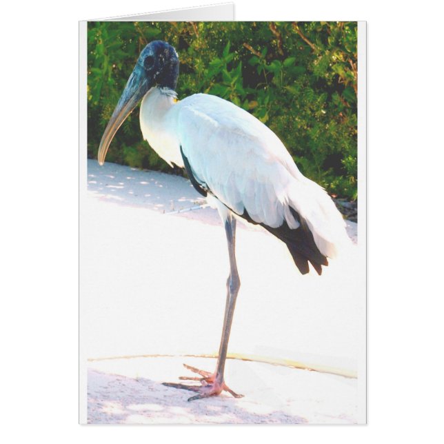Trästork i kvällsbära hälsningskort (Framsidan)
