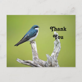 Träswallow Tack Vykort