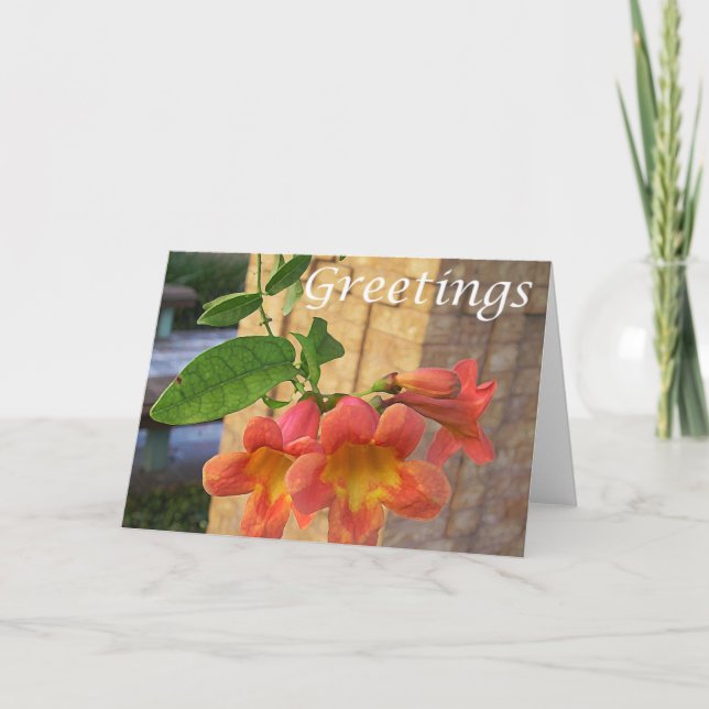 Tratt Flower Greeting Card Kort (Framsida)