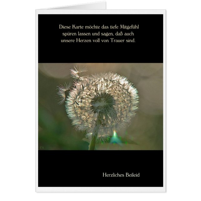 Trauerkarte Pusteblume Herzliches Beileid Hälsningskort (Framsidan)