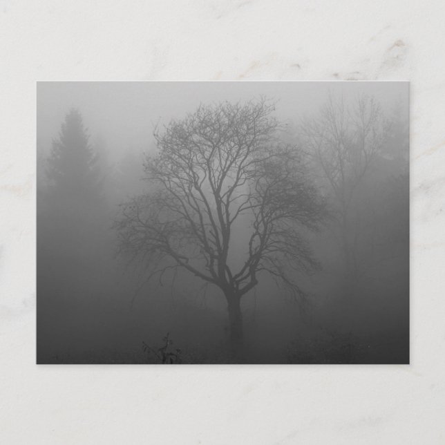 Trauerkarte Vykort (Framsida)