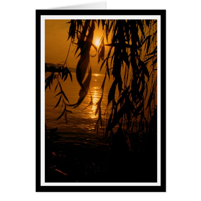 Trauerweide mit Sonnenuntergang Karte Hälsningskort (Framsidan)