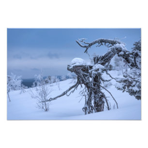 Träutlänning under vintertid fototryck
