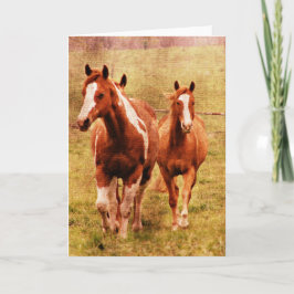 Trava för hästar kort