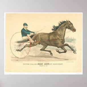 Trava hingsten Palo Alto vid Electioneer (1791A) Poster