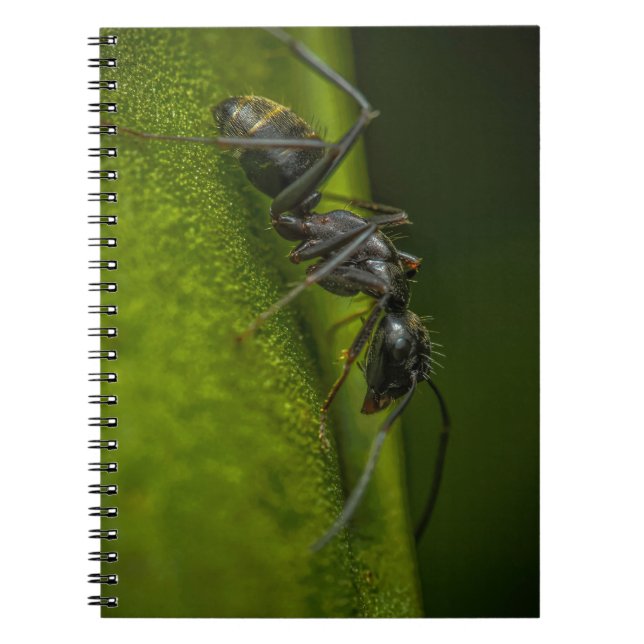 Travande svart myra på ett grönt blad anteckningsbok (Framsidan)