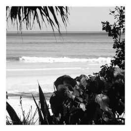 Travel Beach Scene Sommar Black White Tropical Fototryck