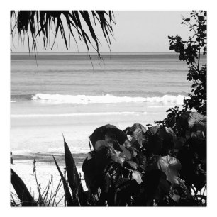 Travel Beach Scene Sommar Black White Tropical Fototryck