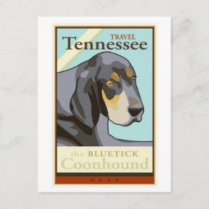 Travel Tennessee Vykort