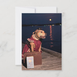Traveler Sailor Hund lustig kostym bok notecard Tack Kort