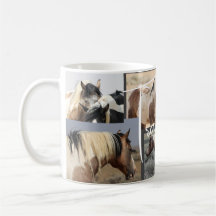 Traveler Vild Horse