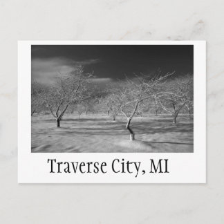 Traverse City Cherry Orchard Vykort