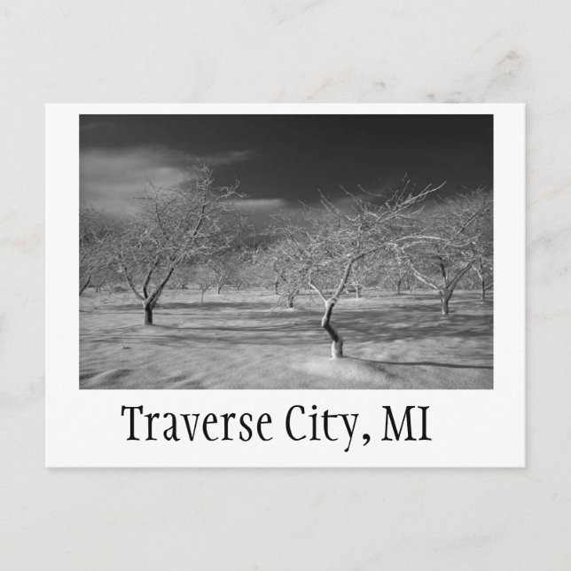 Traverse City Cherry Orchard Vykort (Framsida)