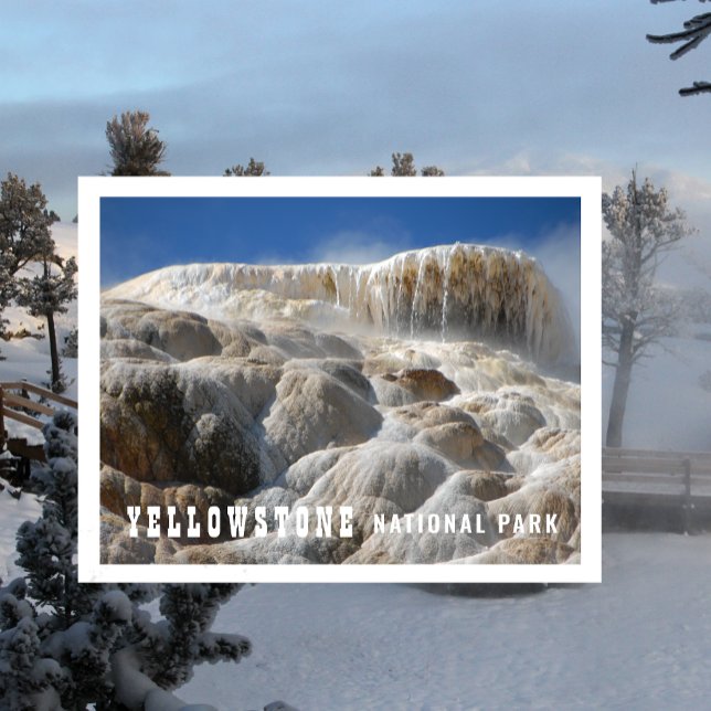 Travertin Terrasser Mammoth Hot Springs Vykort (Skapare uppladdad)
