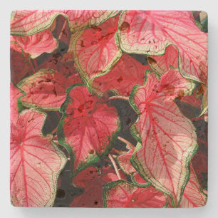TRAVERTINE STONE UNDERLÄGG, "CALADIUM" UNDERLÄGG STEN