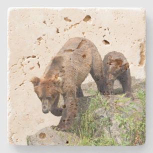 Travertinestenkustfartyg med den grizzlybjörnen & stenunderlägg