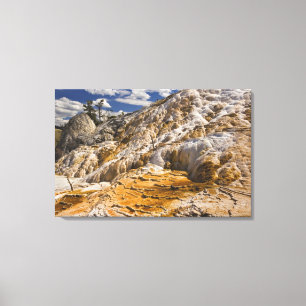 Travertineterrasser på Mammoth Hot Springs, gult Canvastryck