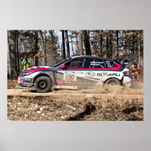 Travis Pastrana i det 100 tunnland trät Poster