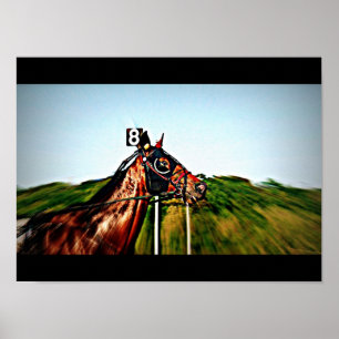 Travsportaffisch Poster