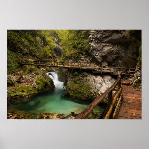 Träwalkway till och med den Vintgar klyftakanjonen Poster