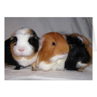 Tre Amigos Hälsningskort