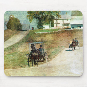 Tre Amish Buggies Musmatta