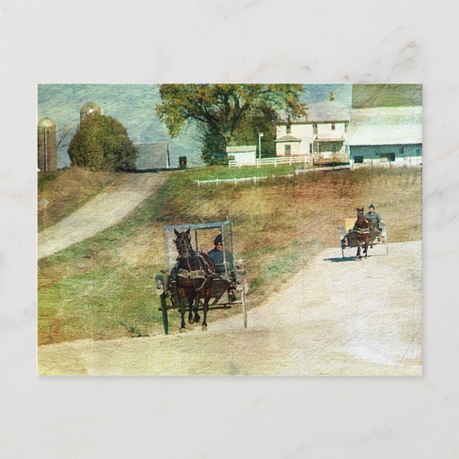 Tre Amish Buggies Vykort (Framsida)